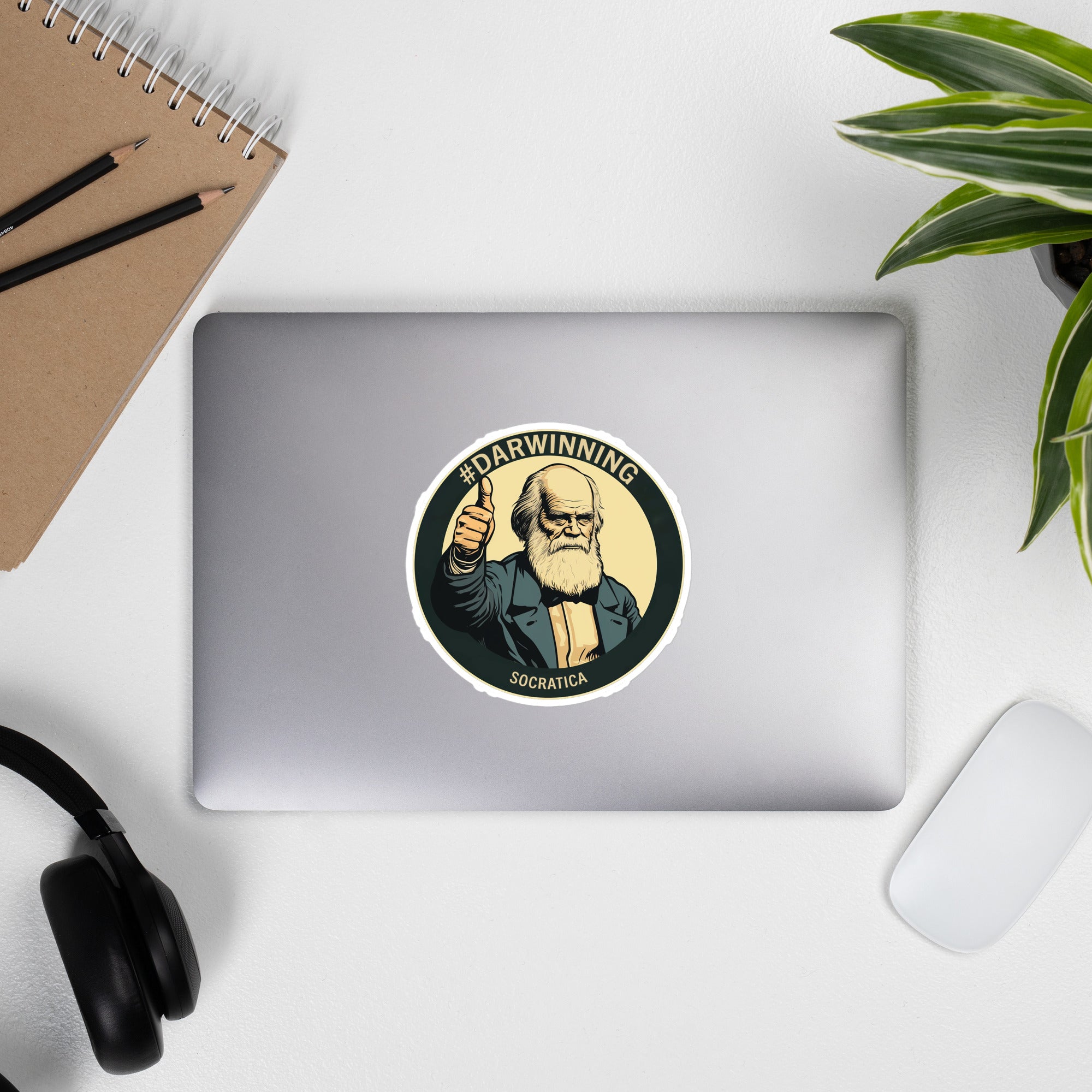 #Darwinning Socratica sticker
