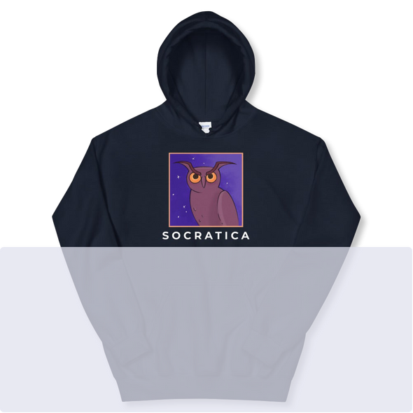 Navy Owl Hoodie